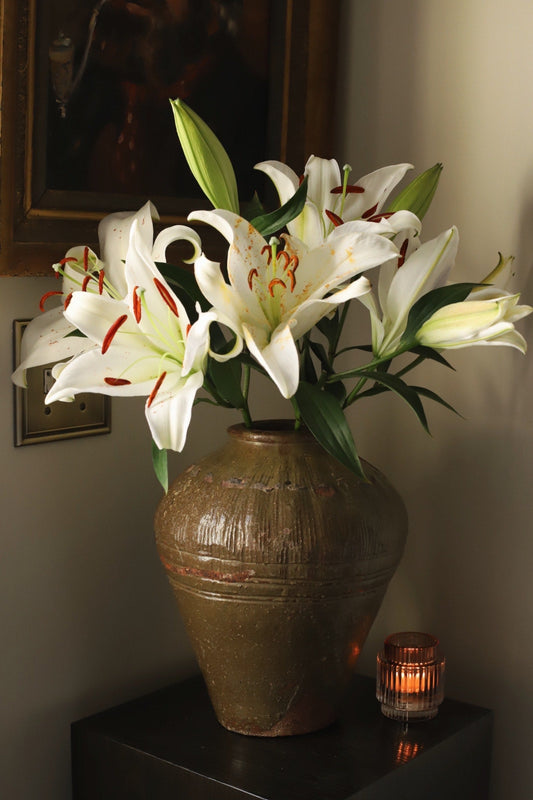 Earthy Elegance with the Mijiu Jar